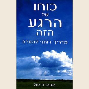 כוחו של הרגע הזה/אקהרט טול